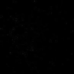 Meet your Posher, Tasha